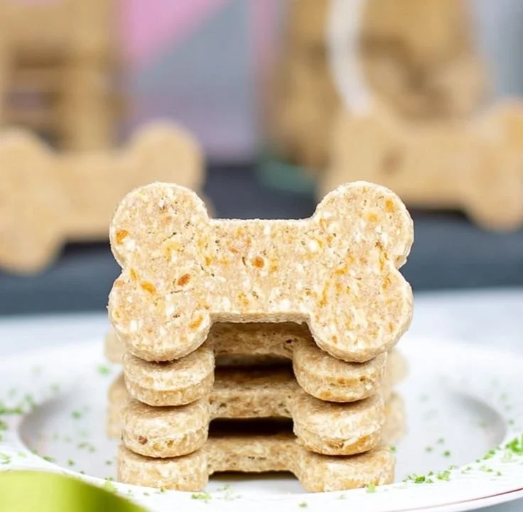 Dog enjoying homemade easy chicken broth treats