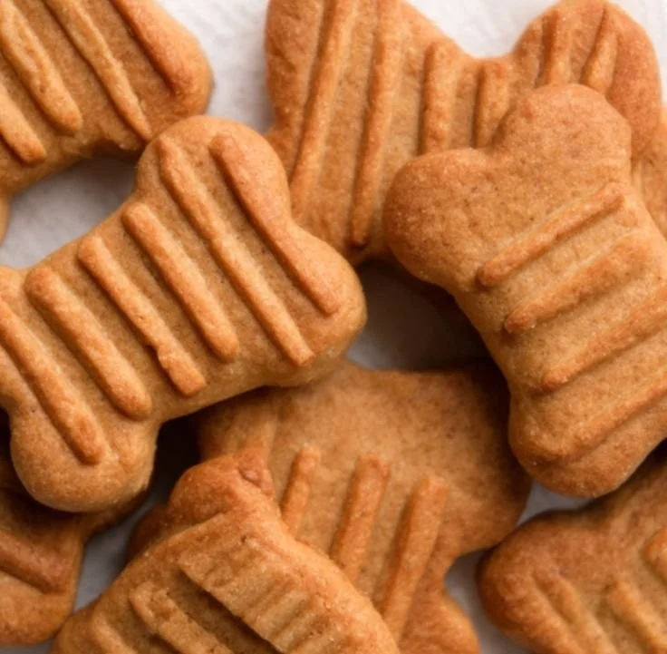 Delicious peanut butter biscuits dog treats for happy, healthy pups.