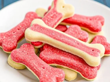 Homemade Banana and Watermelon Dog Freezies for hot summer days