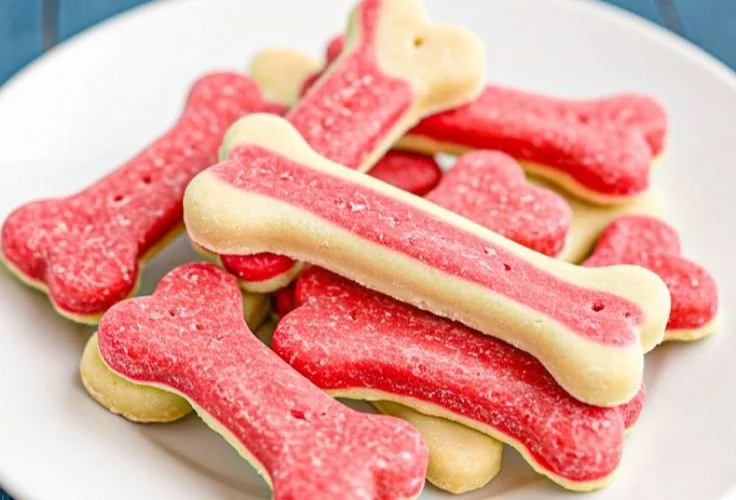 Homemade Banana and Watermelon Dog Freezies for hot summer days