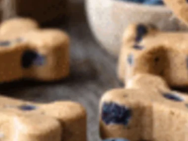 Homemade blueberry yogurt dog cake treats for a happy pup celebration