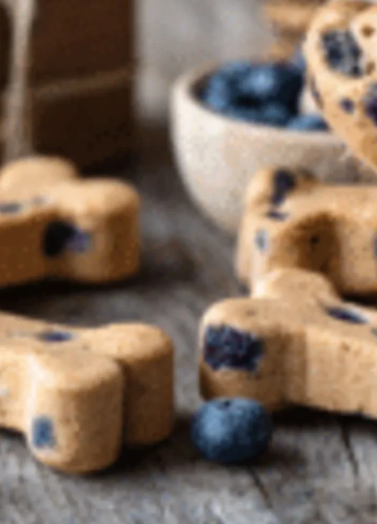 Homemade blueberry yogurt dog cake treats for a happy pup celebration