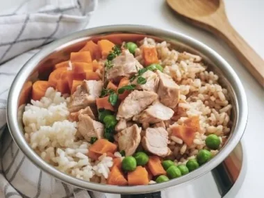 Bowl of chicken and brown rice dog food for healthy pets