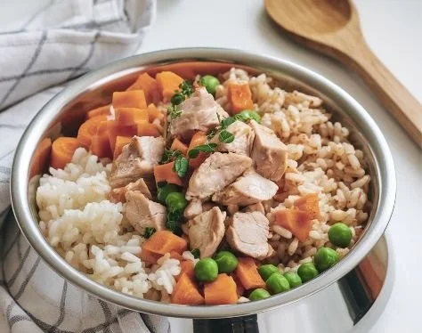 Bowl of chicken and brown rice dog food for healthy pets