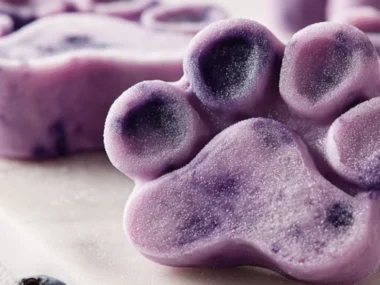 Blueberry coconut oil frozen dog treats in a bowl for pets