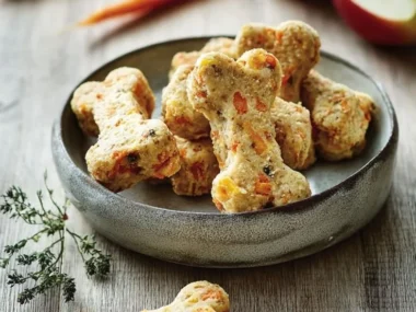 Crunchies Carrot Apple Dog Treats - a delicious and healthy snack for dogs