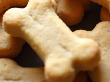 Crunchy homemade sourdough dog treats in a bowl for pets