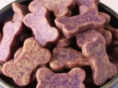 Colorful veggie dog pops treat for dogs in fun shapes and sizes
