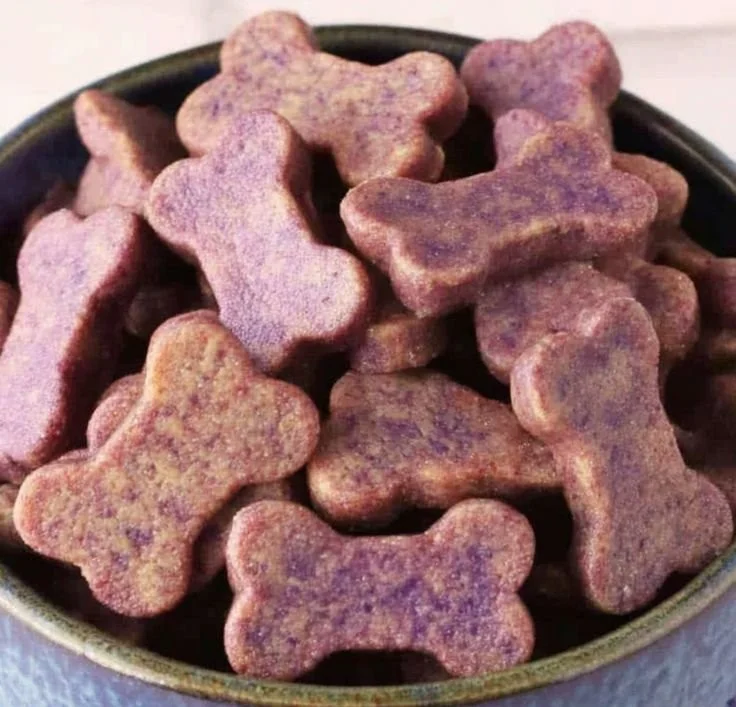 Colorful veggie dog pops treat for dogs in fun shapes and sizes