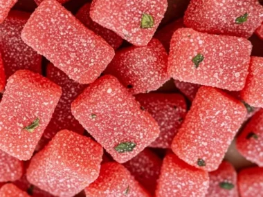 Homemade frozen watermelon mint dog treats for hot days