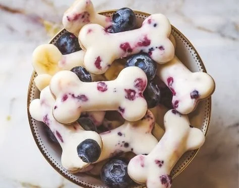 Frozen banana and berry dog treats for pets