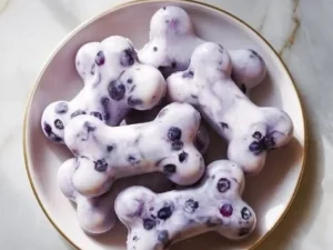 Frozen blueberry dog treats made with natural ingredients for dogs