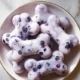 Frozen blueberry dog treats made with natural ingredients for dogs