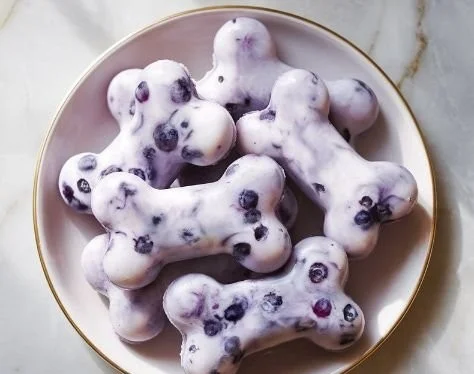 Frozen blueberry dog treats made with natural ingredients for dogs