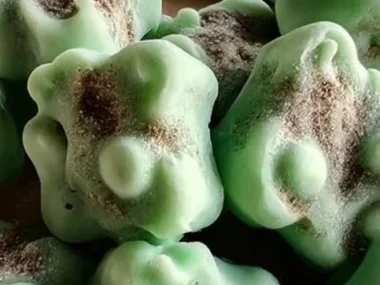 A homemade frozen dog treat on a colorful plate, perfect for summer snacks.