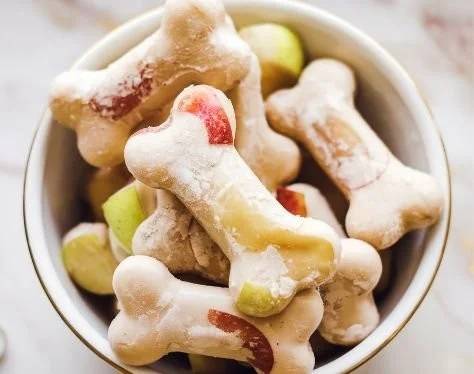 Delicious frozen dog treats for pets on a sunny day