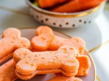 Healthy frozen dog treats for hot days and happy pets.