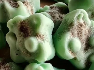 Homemade frozen fresh breath dog treats recipe for pups