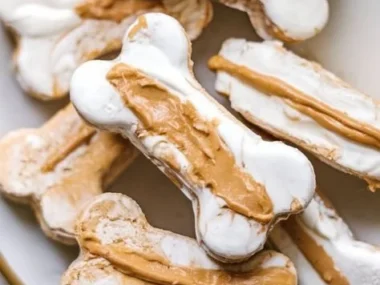 Frozen heart-shaped dog treats made with natural ingredients for your furry friend