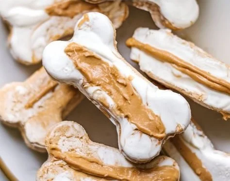 Frozen heart-shaped dog treats made with natural ingredients for your furry friend