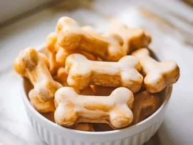 Frozen pumpkin and banana dog pops for dogs