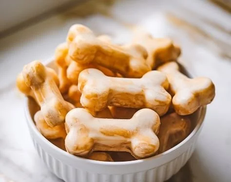 Frozen pumpkin and banana dog pops for dogs