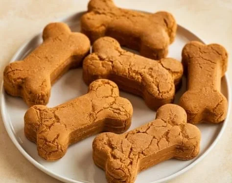 Frozen pumpkin dog treats in fun bone-shaped molds