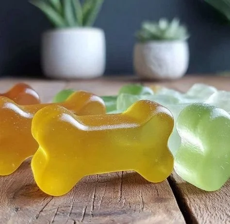 Homemade fruit gelatin bone treats for dogs in a colorful bowl