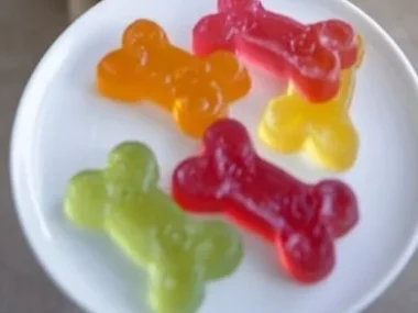 Homemade fruit gelatin bone treats for dogs, healthy snacks with fruit.