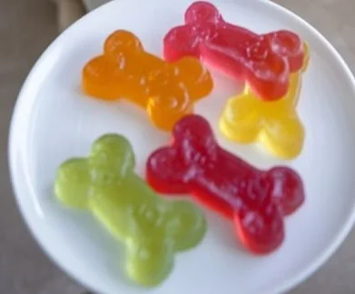 Homemade fruit gelatin bone treats for dogs, healthy snacks with fruit.