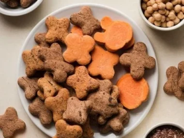 Homemade grain-free dog biscuits for healthy canine snacks