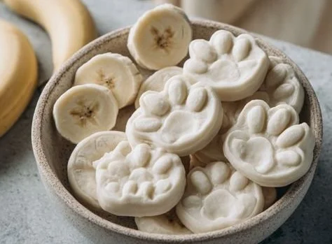 Homemade Greek yogurt dog treats for healthy snacking