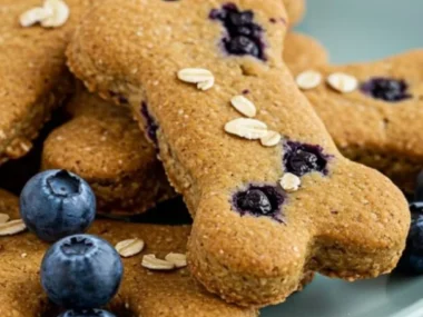 Healthy blueberry chews with pumpkin and oat ingredients