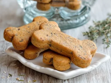 A selection of healthy dog treats that pups love and enjoy.