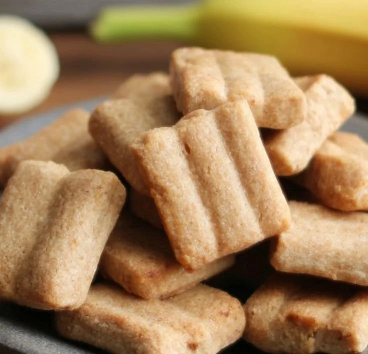 Homemade apple and banana dog treats fresh out of the oven
