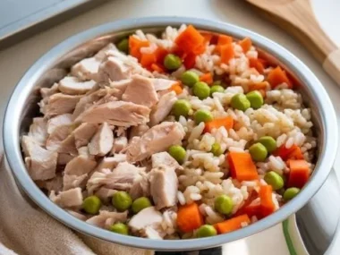 Bowl of homemade dog food with chicken and brown rice for healthy pets