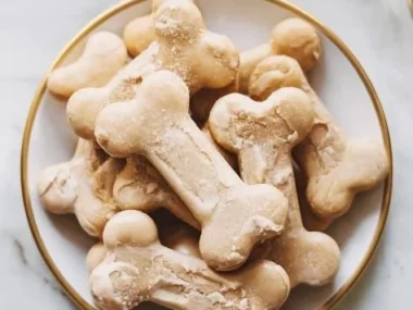 A variety of homemade dog treats for your furry friends on a wooden table.
