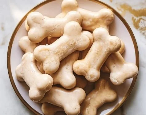 Homemade peanut butter coconut oil dog treats for healthy pets