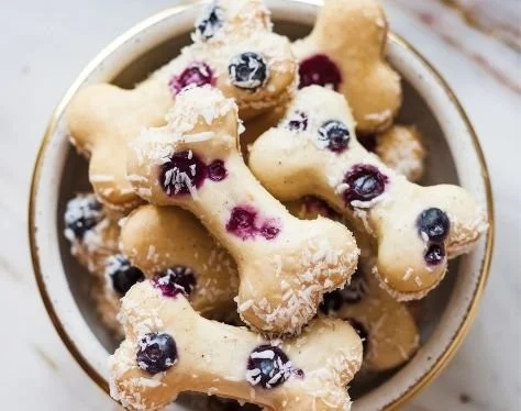 Homemade no-bake blueberry coconut dog treats on a wooden surface