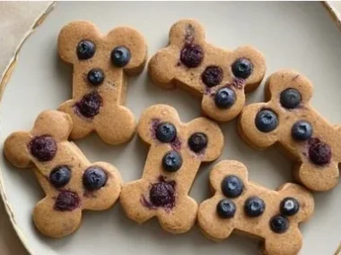 Peanut butter blueberry dog treats for healthy canine snacks