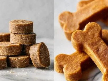 Homemade peanut butter dog treats ready for your pet
