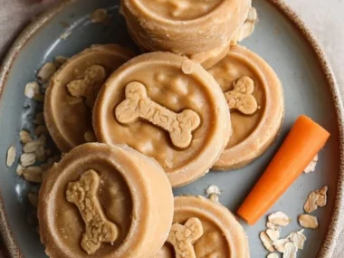 Healthy no-bake peanut butter and oatmeal dog treats for happy pups