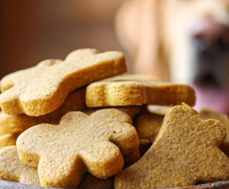 Homemade Pumpkin Banana Cookies for dogs served on a rustic wooden board.