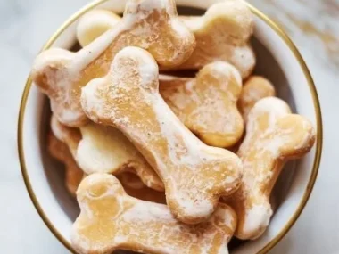 Homemade Pumpkin Banana Dog Treat Pops for happy dogs