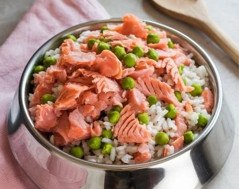 Bowl of Salmon and Rice Dog Food for optimal canine nutrition