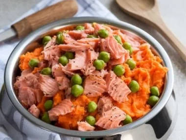 Salmon and sweet potato dog food bag for healthy pet nutrition