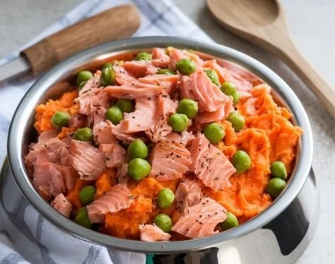 Salmon and sweet potato dog food bag for healthy pet nutrition