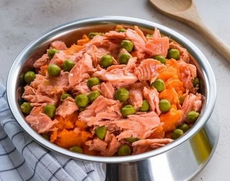 Salmon and sweet potato dog meal for nutritious canine nutrition