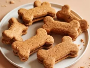 Salmon grain-free dog treats for healthy canine snacking
