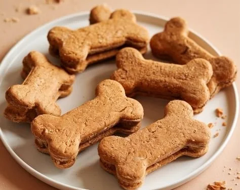 Salmon grain-free dog treats for healthy canine snacking